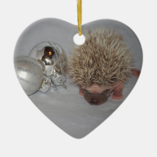 Baby egel kerstversiering keramisch ornament
