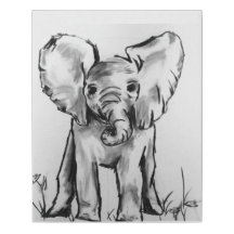 Baby Elephant Black en White
