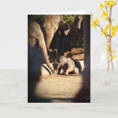 Baby Elephant Carte d'anniversaire (Fleur jaune)