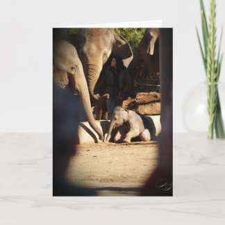 Baby Elephant Carte d'anniversaire