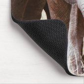 Baby Elephant Cute African Elephant met mama Muismat (Hoek)