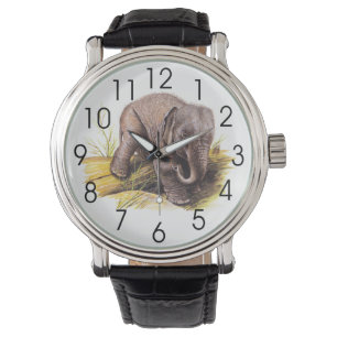  Baby Elephant Horloge