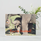 Baby Elephant Invitation Sjabloon Kaart (Staand voorkant)