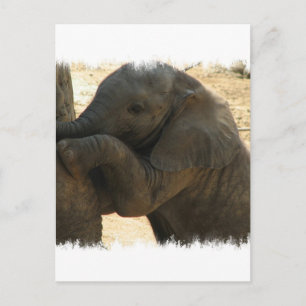 Baby Elephant-kaart Briefkaart