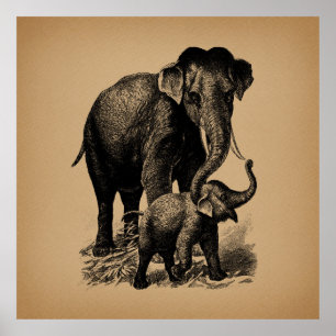 Baby Elephant kunst Poster