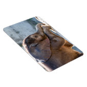 Baby Elephant Magneet (Rechterzijde)