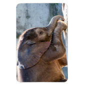 Baby Elephant Magneet (Verticaal)