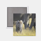 Baby Elephant Magneet (Voorkant / Achterkant)