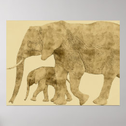 Baby Elephant met moeder Poster