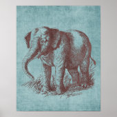  Baby Elephant Poster (Voorkant)