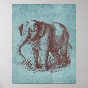  Baby Elephant Poster