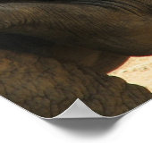 Baby Elephant Print (Hoek)