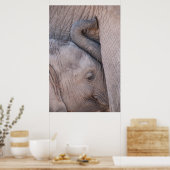 Baby Elephant Snuggles Poster (Keuken)