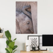 Baby Elephant Snuggles Poster (Thuiskantoor)