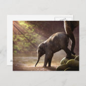 Baby Elephant's First Bath Briefkaart (Voorkant / Achterkant)