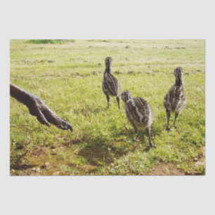 Baby emu kuikens en grote voet, tissuepapier