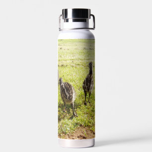 Baby Emu Kuikens En Grote Voet,  Waterfles