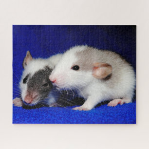 Baby Fancy Pet Rat Pups Legpuzzel