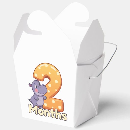 baby Favor Boxes 2 months Bedankdoosjes (Open)