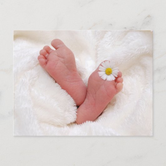 Baby Feet met Daisy Briefkaart (Voorkant)