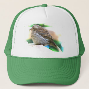 Baby Finch Trucker Pet