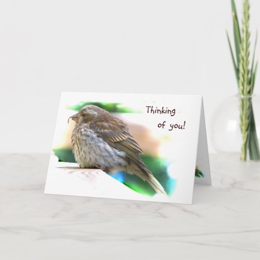 Baby Finch Vriendschap Kaart (Voorkant)