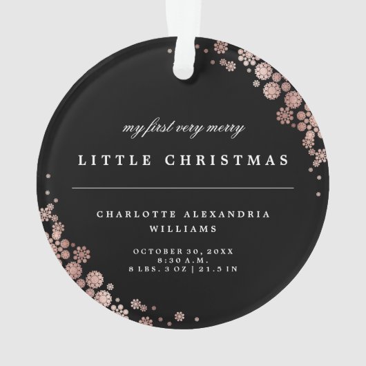 Baby First Christmas Snowflakes Style Chic Photo (dos)