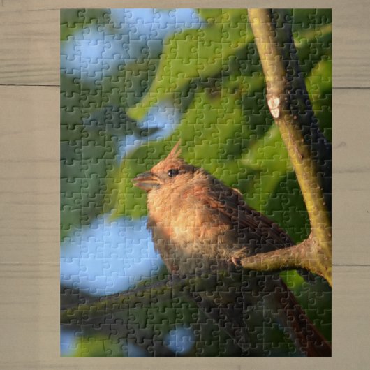Baby Fledgling Kardinaal Fotografisch Jigzaag Puzz Legpuzzel