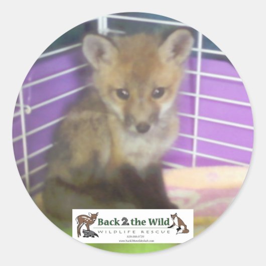 baby fox stickers (Voorkant)