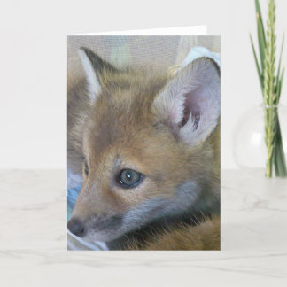 Baby Fox Wenskaart Kaart