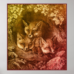  baby Fox Woodland Smart Foxes  boek Poster