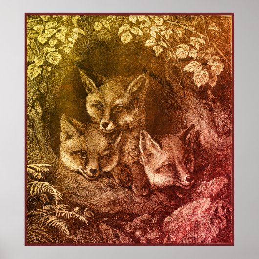 baby Fox Woodland Smart Foxes boek Poster (Voorkant)