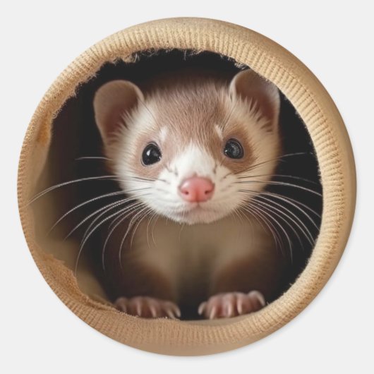 Baby frettengezicht - Schattigee fretten Ronde Sticker (Voorkant)