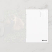 Baby gans briefkaart (Achterkant)
