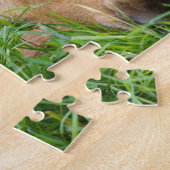 Baby gans slapen in gras, baby Animal Legpuzzel (Zijkant)