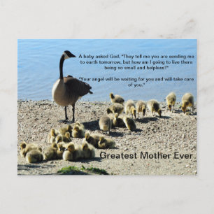 Baby ganzen en Moeder Goose Briefkaart