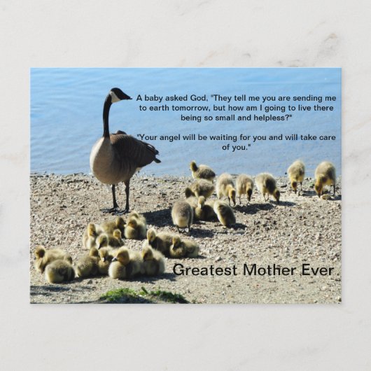 Baby ganzen en Moeder Goose Briefkaart (Voorkant)