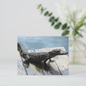 Baby Gator Briefkaart (Staand voorkant)