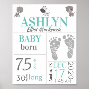 Baby Geboorte Statistieken Teken Voetafdruk en Die Poster