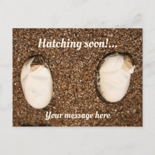 Baby Gedekte Dragons Hatching! Briefkaart