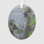 Baby Geese Foto Ornament (voorkant)