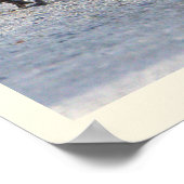 Baby Geese Foto Poster (Hoek)