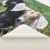 Baby geiten sherpa deken (3/4)