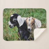 Baby geiten sherpa deken (Voorkant (horizontaal))