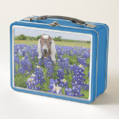 Baby Geitenhok (Voorkant)