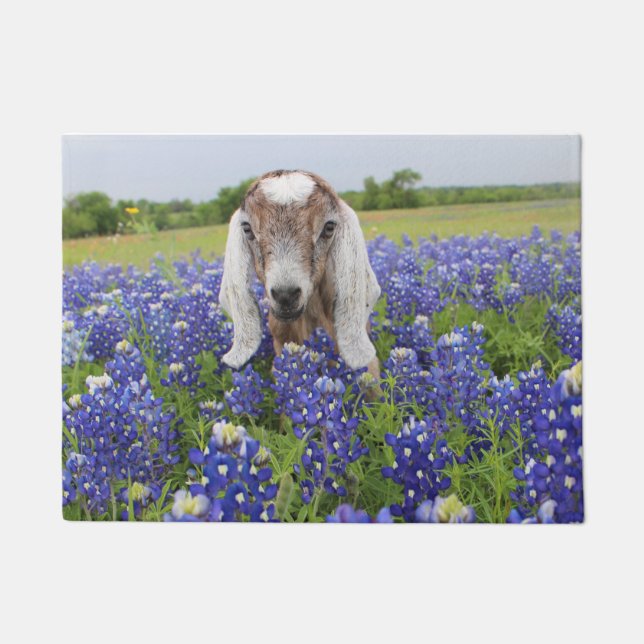 Baby Geitte Doormat Deurmat (Voorkant)