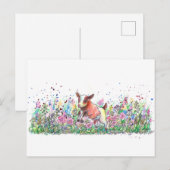 Baby Geitte in Bloemveld Briefkaart (Voorkant / Achterkant)
