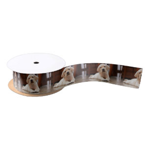 Baby gele Labrador Puppy Dog op Belly Lint