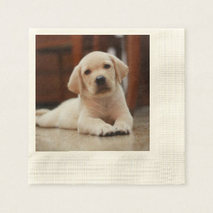 Baby gele Labrador Puppy Dog op Belly Servetten