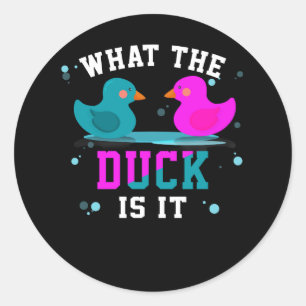 Baby Gendergelijkheid onthult partij wat de Duck i Ronde Sticker